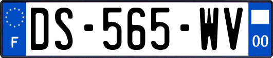 DS-565-WV
