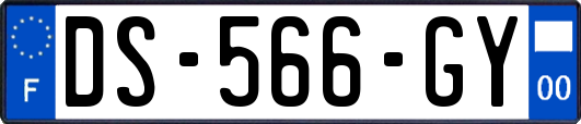 DS-566-GY