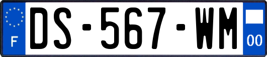 DS-567-WM