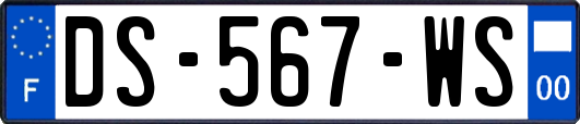 DS-567-WS