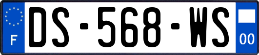 DS-568-WS