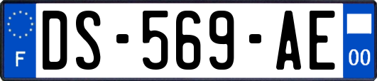 DS-569-AE