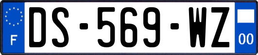 DS-569-WZ