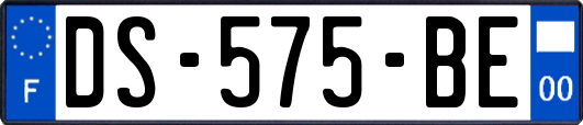 DS-575-BE