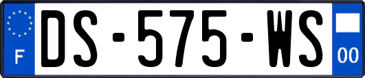 DS-575-WS