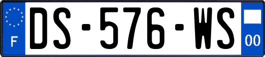 DS-576-WS