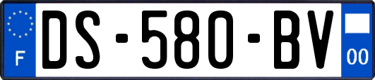 DS-580-BV