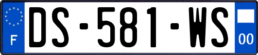 DS-581-WS