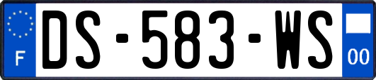 DS-583-WS
