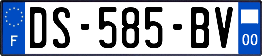 DS-585-BV