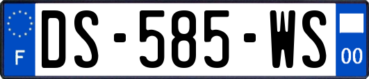 DS-585-WS
