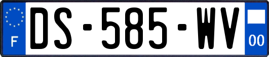 DS-585-WV