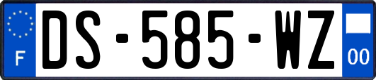 DS-585-WZ