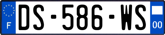 DS-586-WS