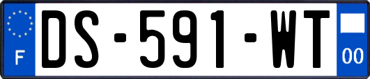 DS-591-WT