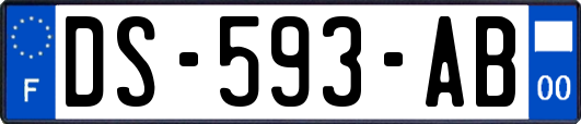 DS-593-AB