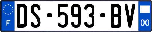 DS-593-BV