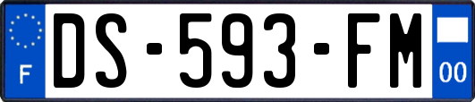 DS-593-FM
