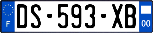 DS-593-XB