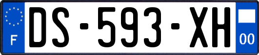 DS-593-XH
