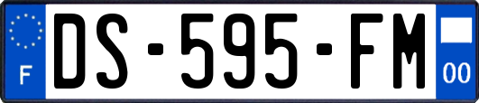 DS-595-FM