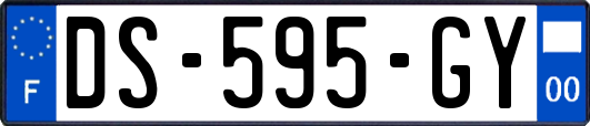 DS-595-GY