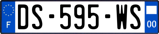 DS-595-WS