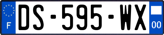 DS-595-WX