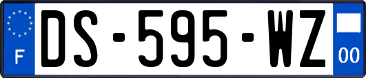 DS-595-WZ
