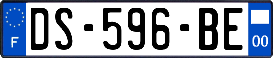 DS-596-BE