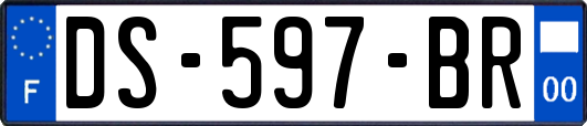 DS-597-BR