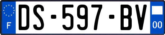 DS-597-BV