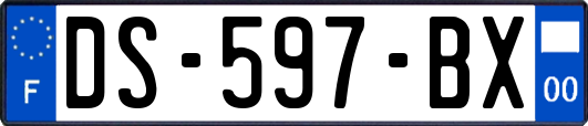 DS-597-BX