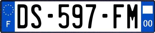 DS-597-FM