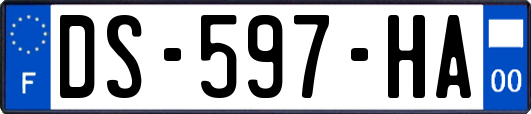 DS-597-HA