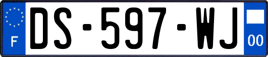 DS-597-WJ