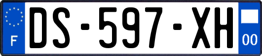 DS-597-XH