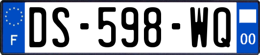 DS-598-WQ