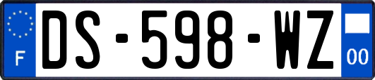 DS-598-WZ