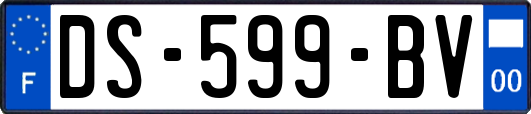 DS-599-BV