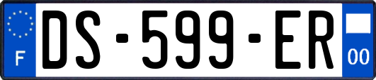 DS-599-ER