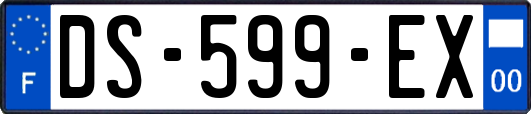 DS-599-EX