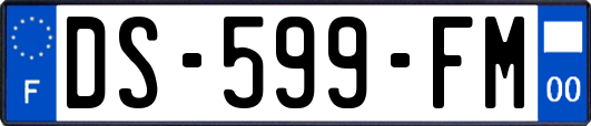 DS-599-FM