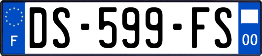 DS-599-FS