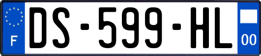 DS-599-HL