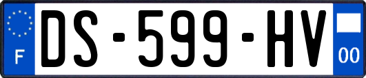 DS-599-HV