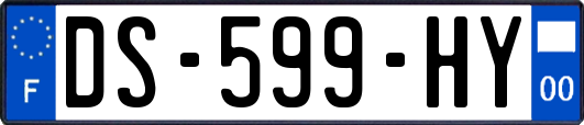 DS-599-HY