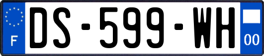 DS-599-WH