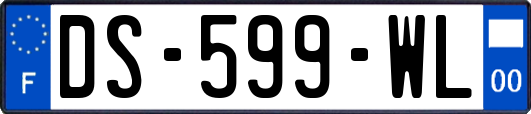 DS-599-WL