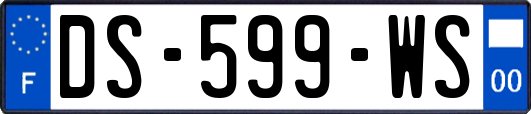 DS-599-WS